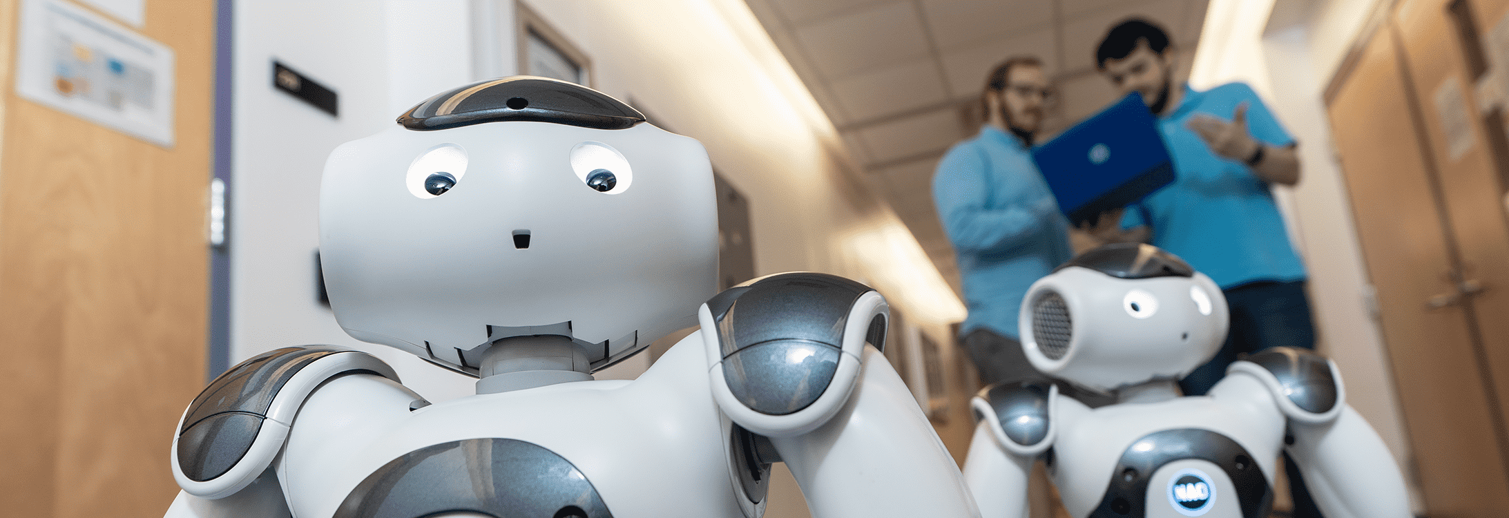 Students working with robots
