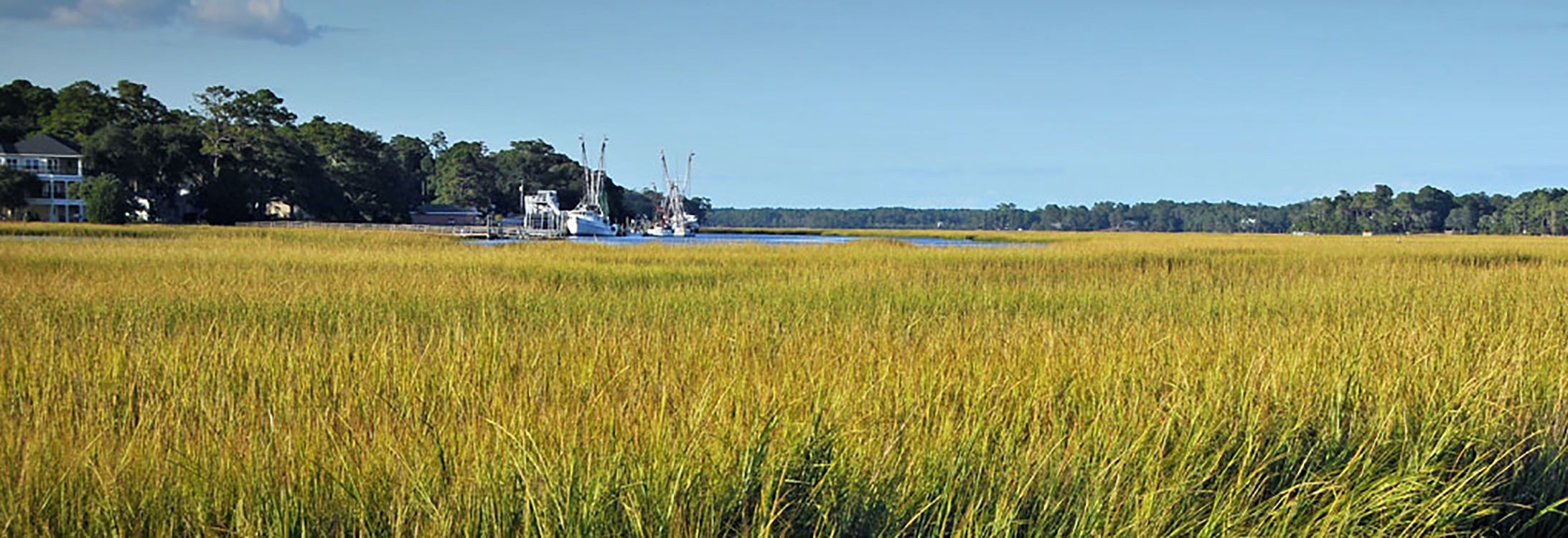 Wetland-Water Quality banner