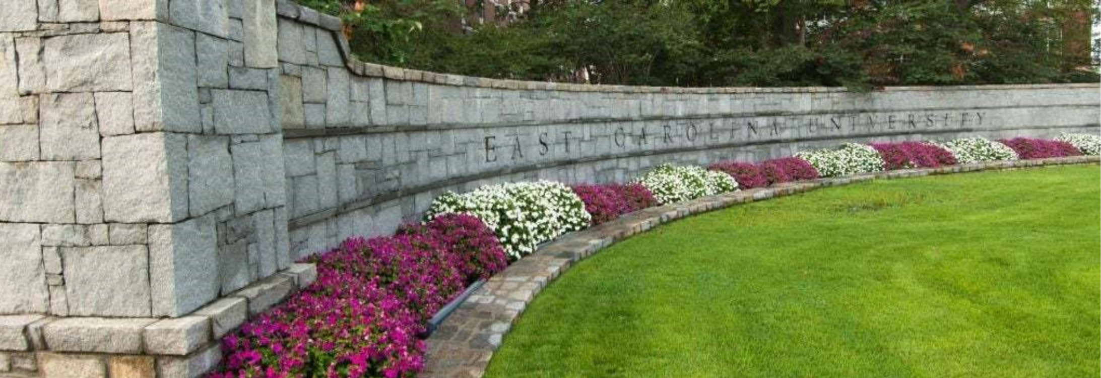 East Carolina university grey brick wall behind flowered shrubbery and a green lawn with trees in the background