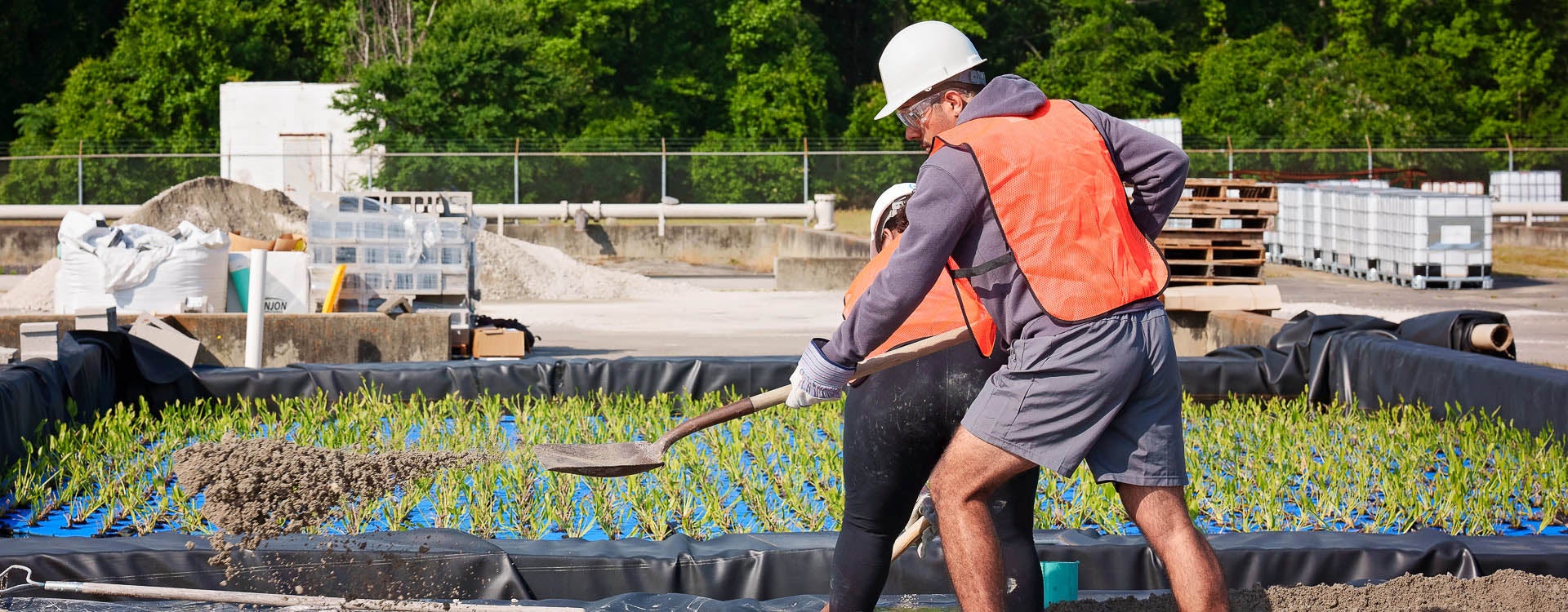 ECU students work to create a hybrid constructed wetland system at the Greenville Utilities Wastewater Treatment Plant. The system is designed to reduce the amount of nitrogen and phosphorus in wastewater. (Photo by Cliff Hollis)